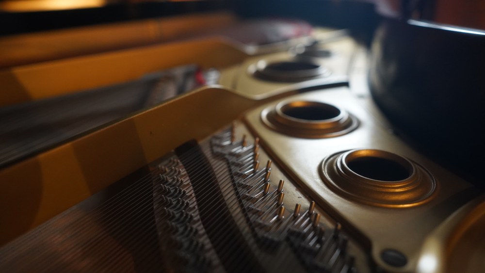The strings and wood of a grand piano